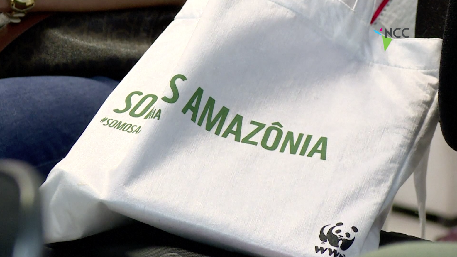 Casi 400 nuevas especies vegetales y animales descubiertas en la Amazonía