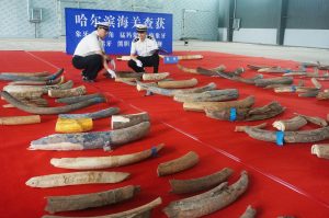 China y Rusia sobre la conservación del medioambiente