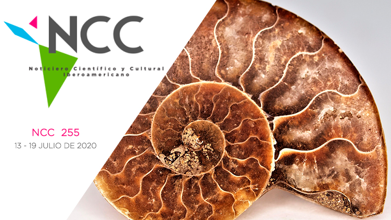 Noticiero Científico y Cultural Iberoamericano, emisión 255. 13 al 19 de Julio 2020