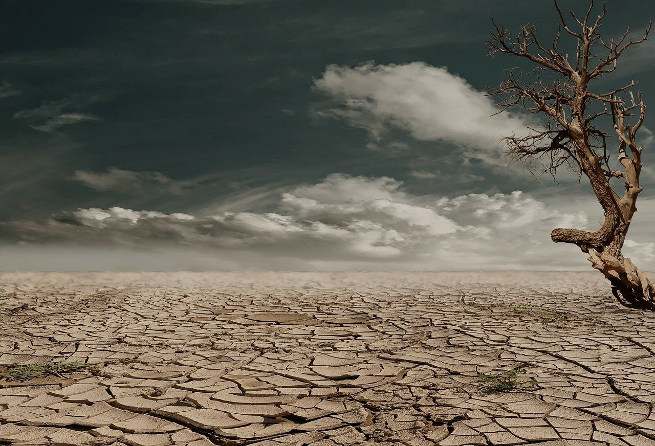 El Banco Mundial alerta de grandes migraciones internas en 2050 por cambio climático