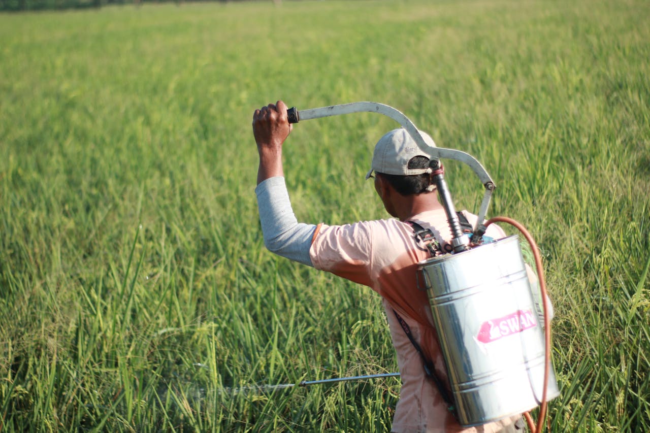 Así impactan los plaguicidas en la salud de la Amazonía