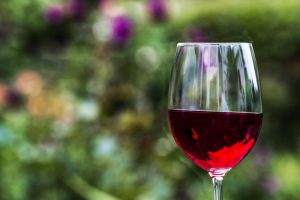 716-2-CIENCIA_Bacterias para hacer vino