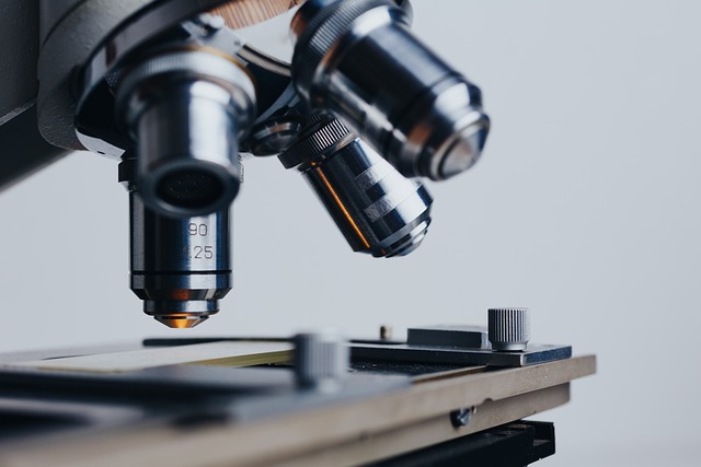 Reivindicar la microscopía: la meta de una científica uruguaya destacada por Nature