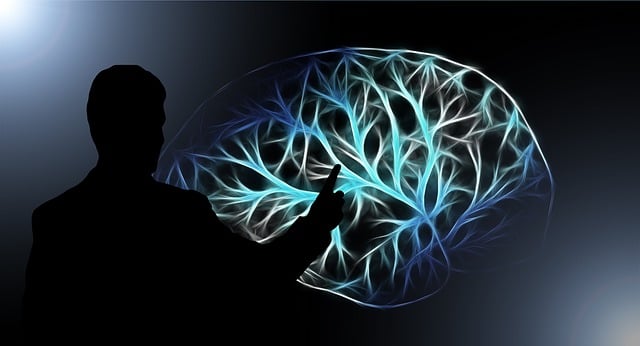 El mayor estudio genético sobre el trastorno bipolar avanza en las claves de la enfermedad