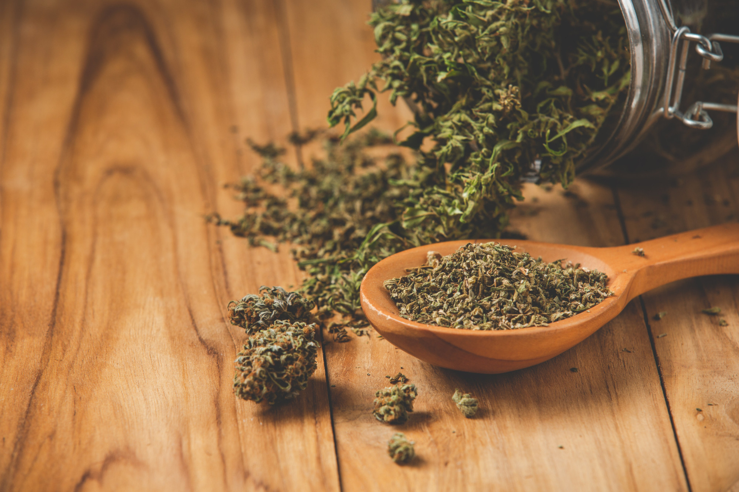 Los aportes medicinales del cannabis cada vez más presentes en tratamientos