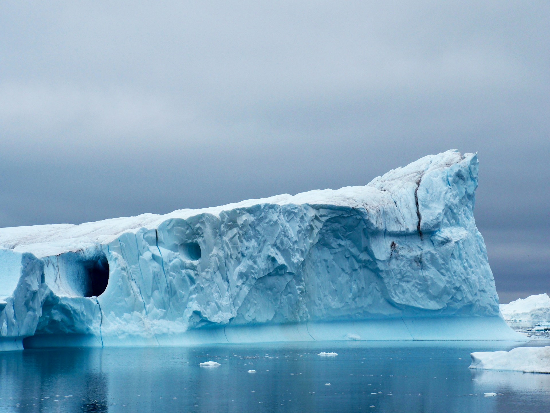 El iceberg más grande del mundo se está desplazando y amenaza la vida silvestre
