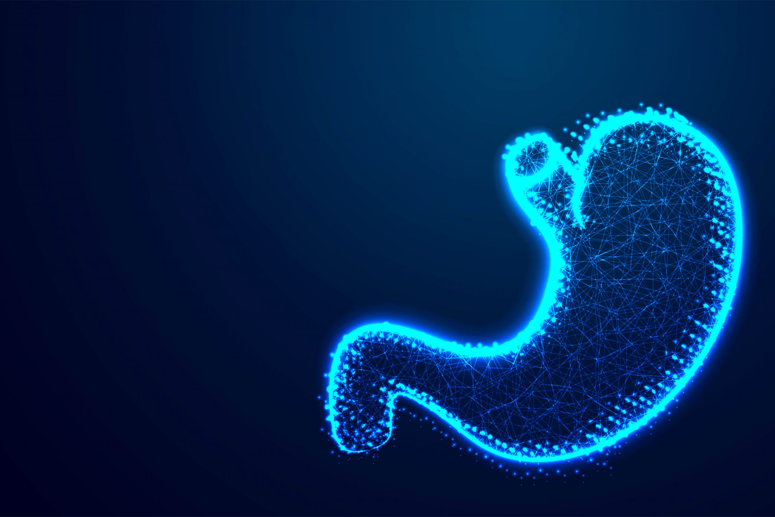 En la UNAM crean un estómago artificial para estudiar la digestión