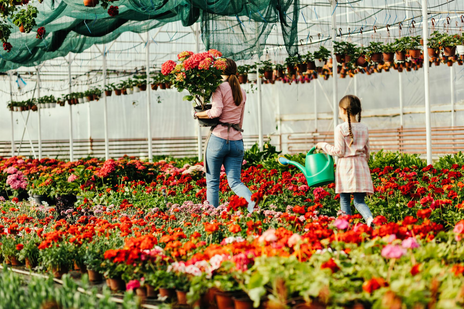 ¿Sabías que existen más de 18 mil tonos de rosas?