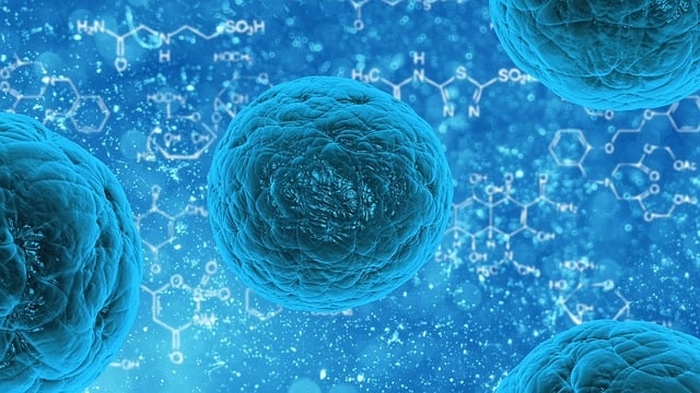 Esclerosis múltiple y virus de Epstein-Barr: un paso más para esclarecer su relación