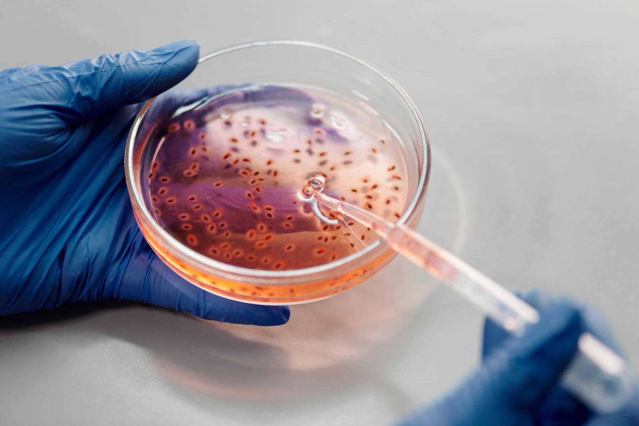 Así se oculta el cáncer y resiste a la inmunoterapia