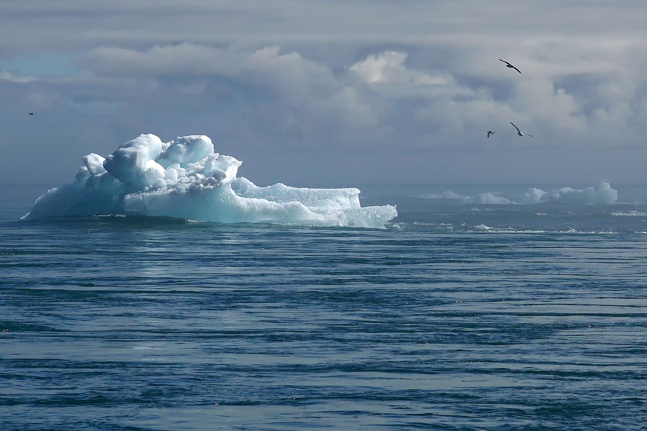 Fenómenos climáticos extremos dejaron «profunda huella»