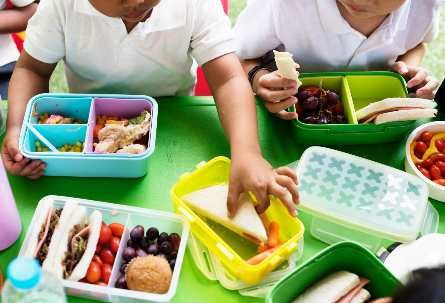 Alimentarnos correctamente incrementa las posibilidades de aprendizaje