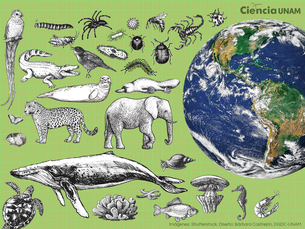 ¿Con cuántas especies compartimos el planeta?
