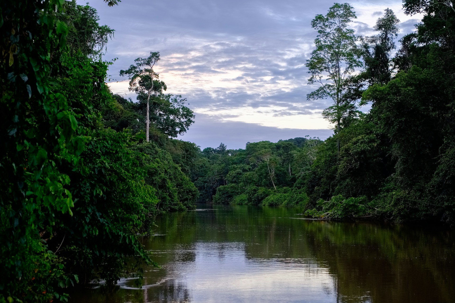 Ministros de América Latina trazan ruta ambiental desde Lima