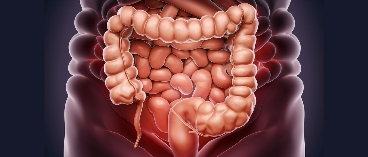 Metagenómica revela claves del microbioma y la alimentación