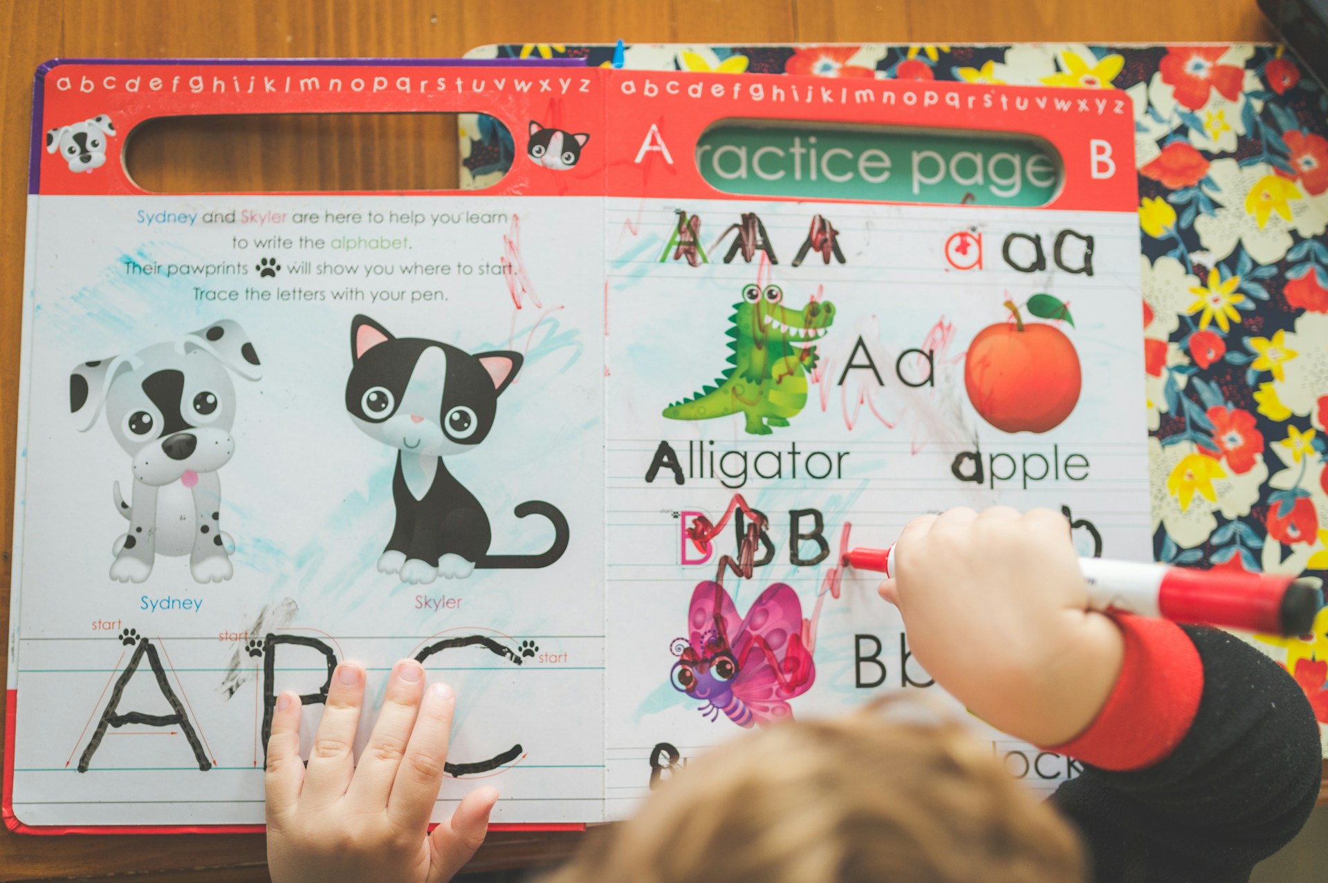 Hablar varios idiomas mejora la salud cerebral