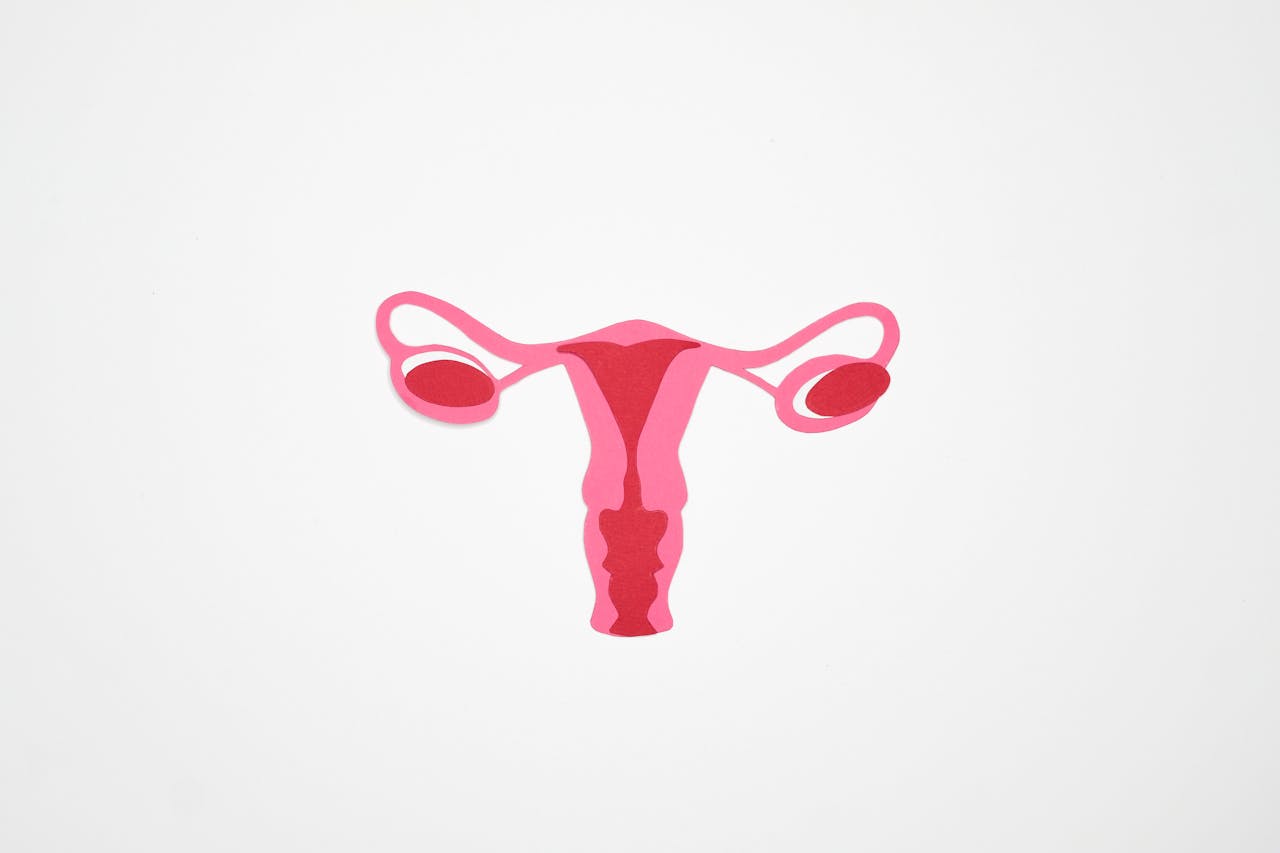 Un análisis genético a gran escala identifica regiones asociadas a la endometriosis