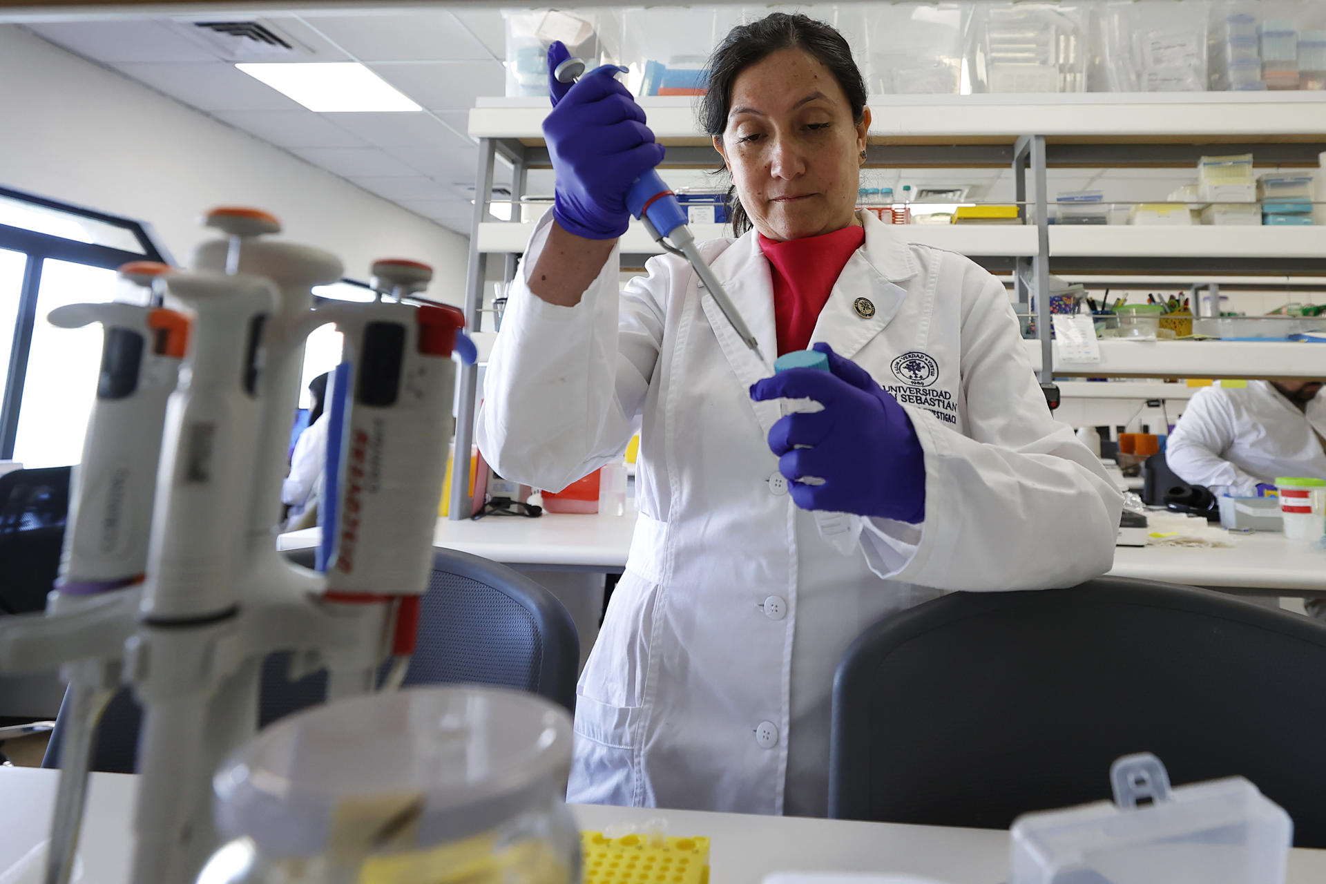 Expertos de la OPS trabajan para controlar brote de hantavirus