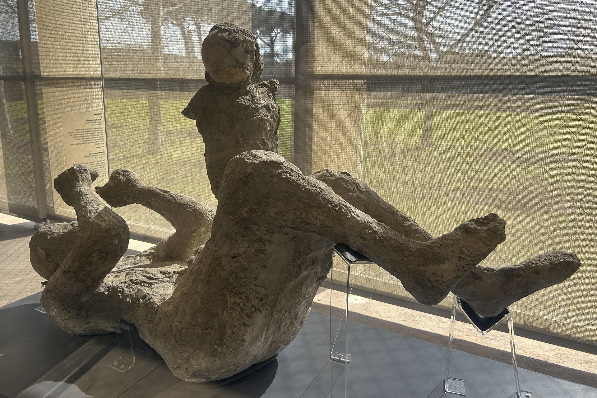 Pompeya presenta exposición de la erupción del Vesubio