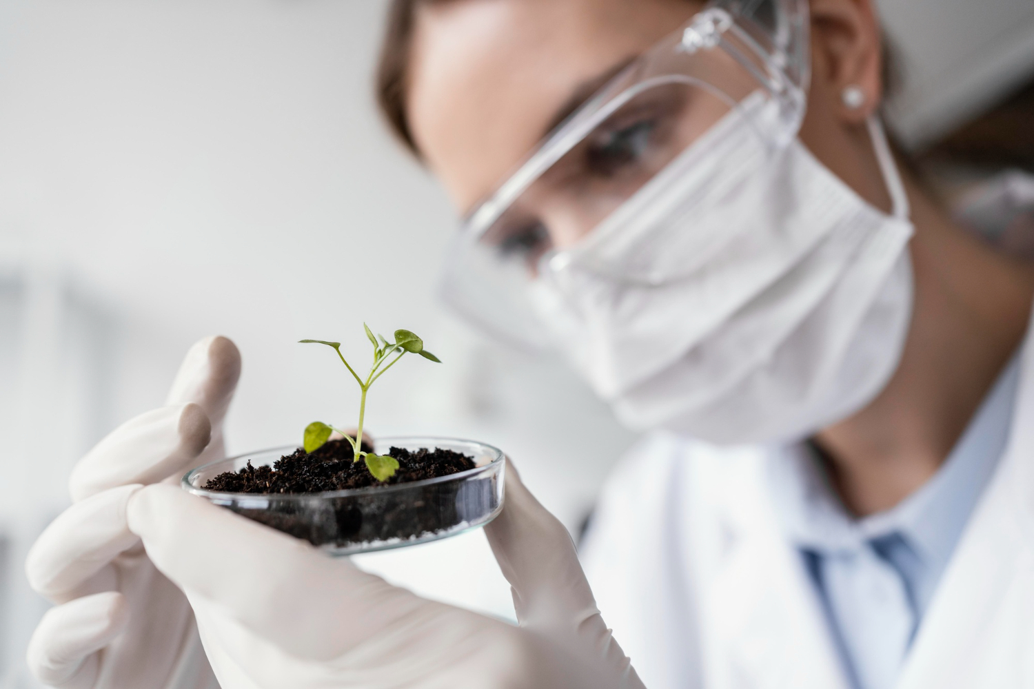 CRISPR impulsa cultivos más resistentes al clima