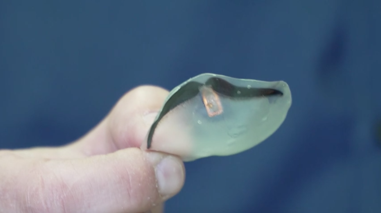 Crean electrónica biodegradable para alimentos más seguros