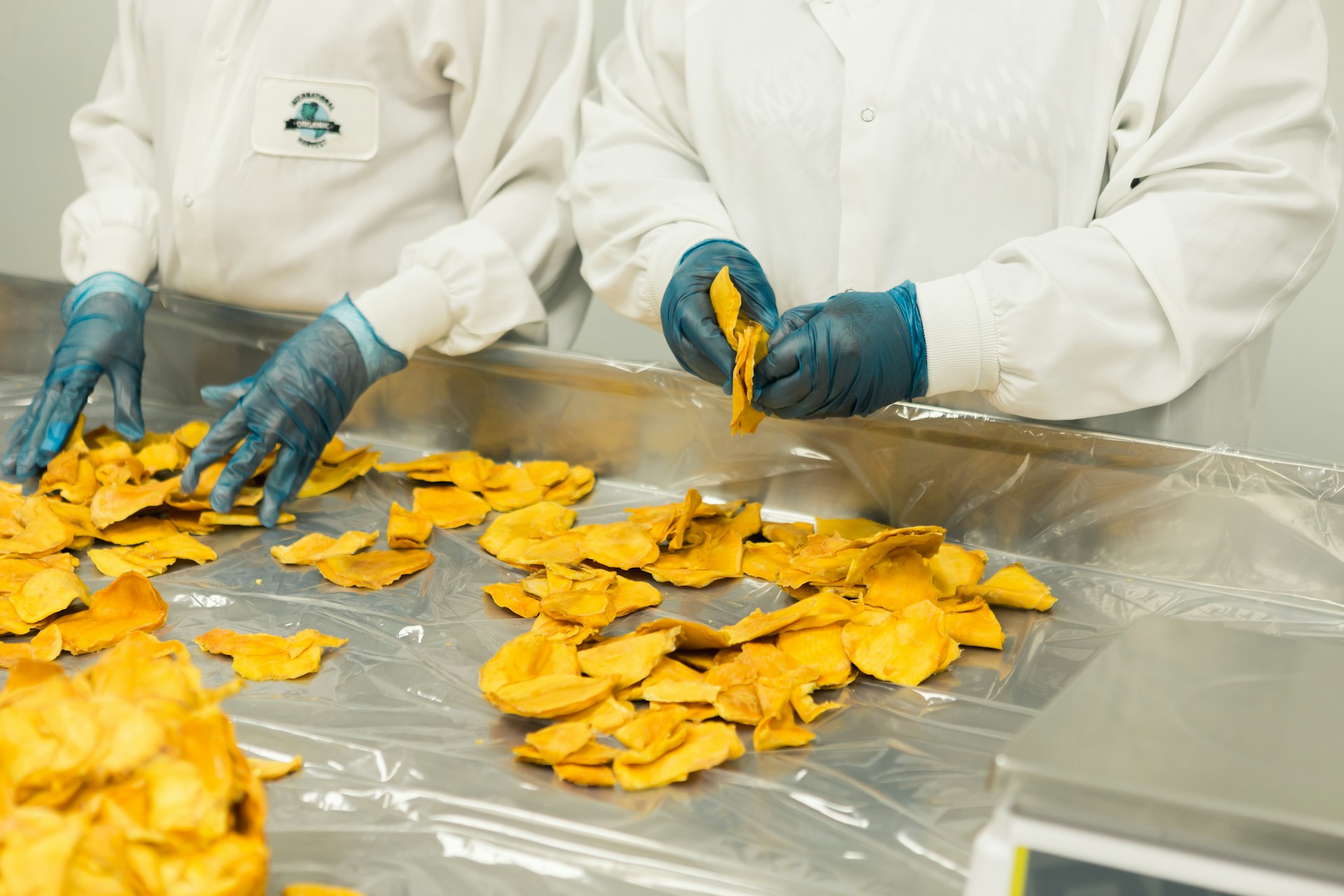 Científicas del CONICET, en Argentina, buscan nuevas formas de preservar alimentos