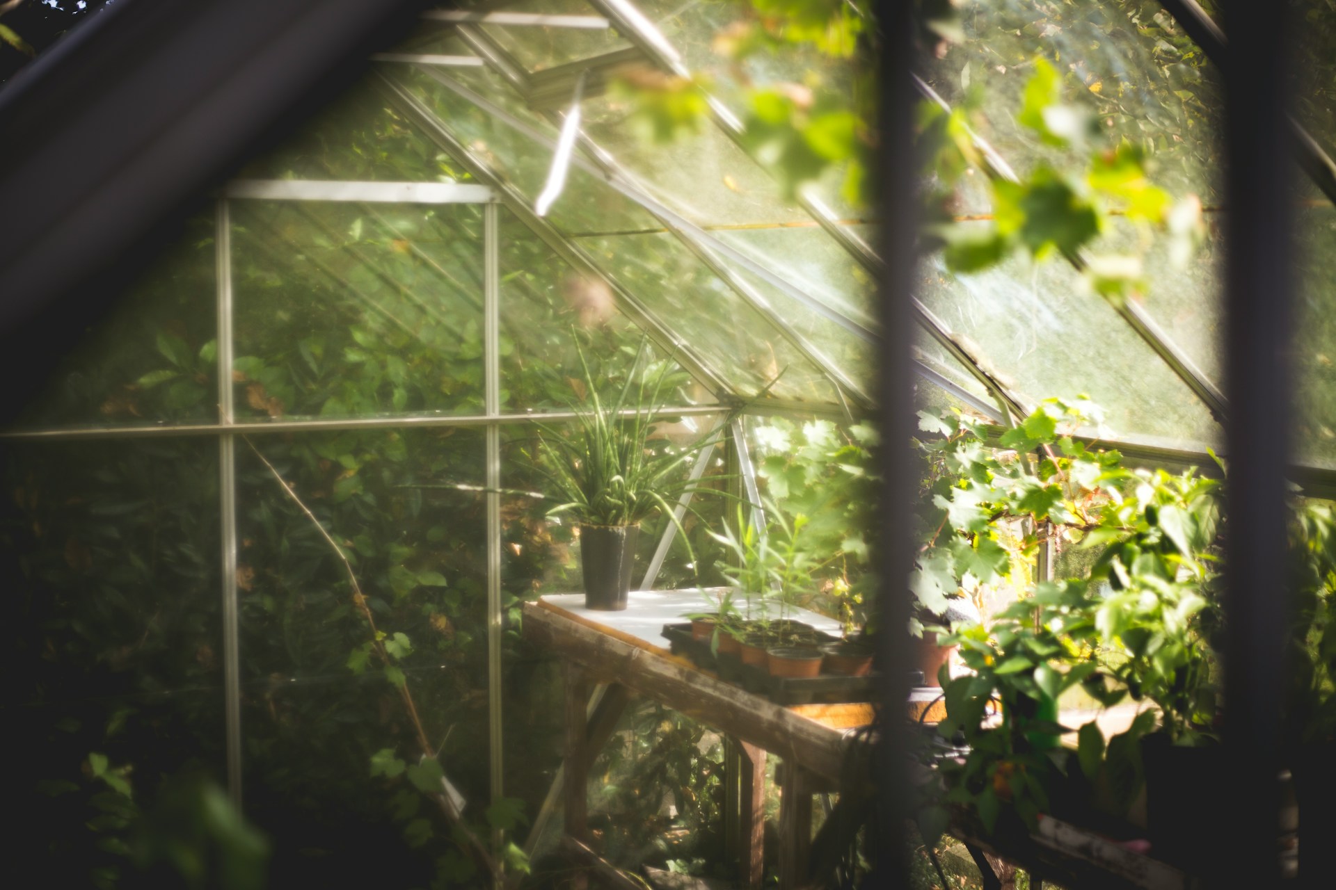 Bélgica abre sus jardines botánicos al público