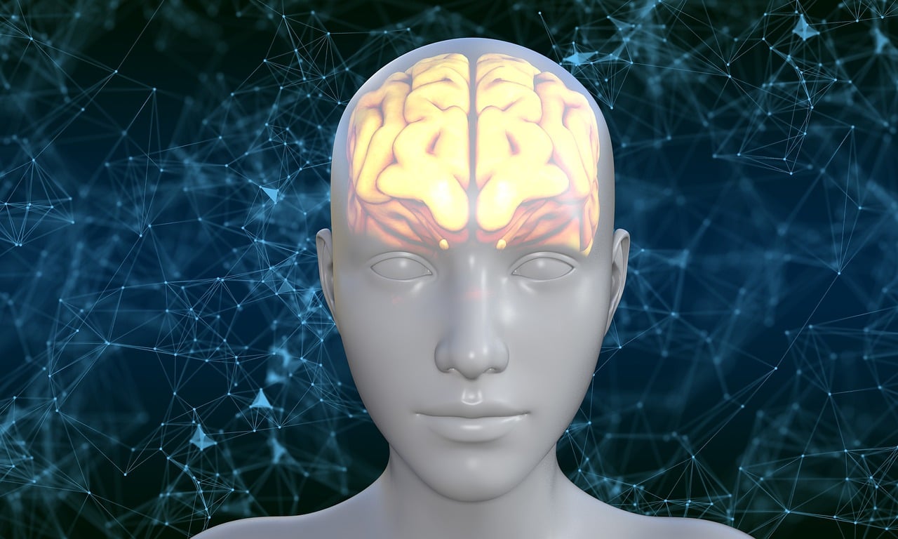 Estudian una proteína que podría desacelerar el deterioro cerebral