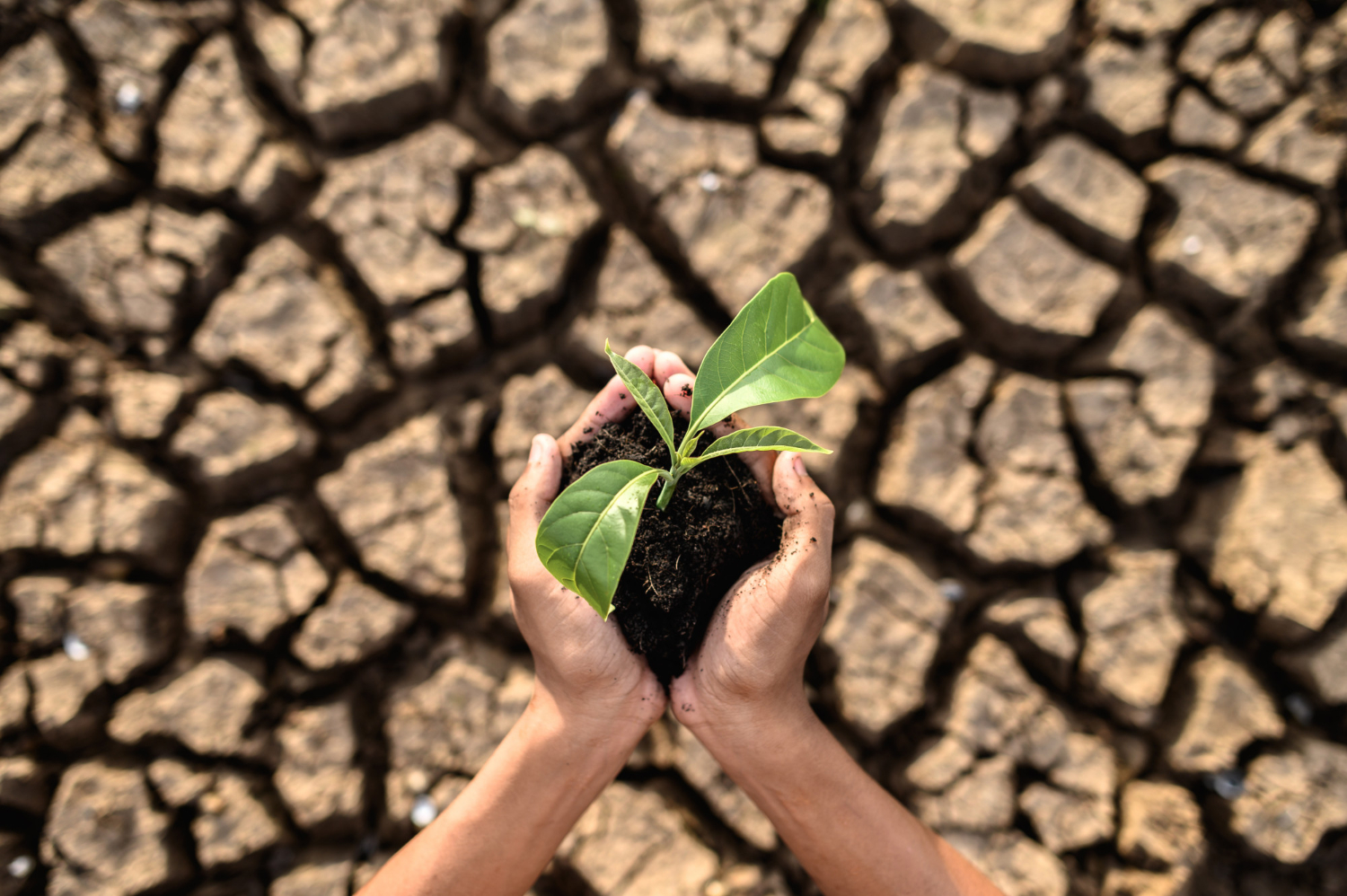 El Niño amenaza el suministro de agua en Puerto Rico